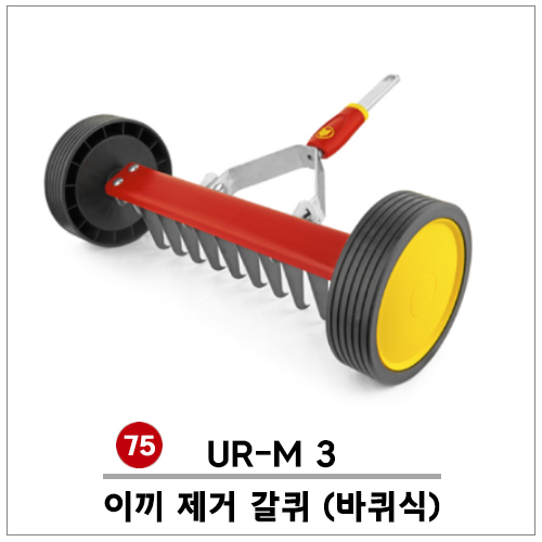 ()75. ̳  [] (UR-M 3)